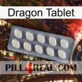 Dragon Tablet 08